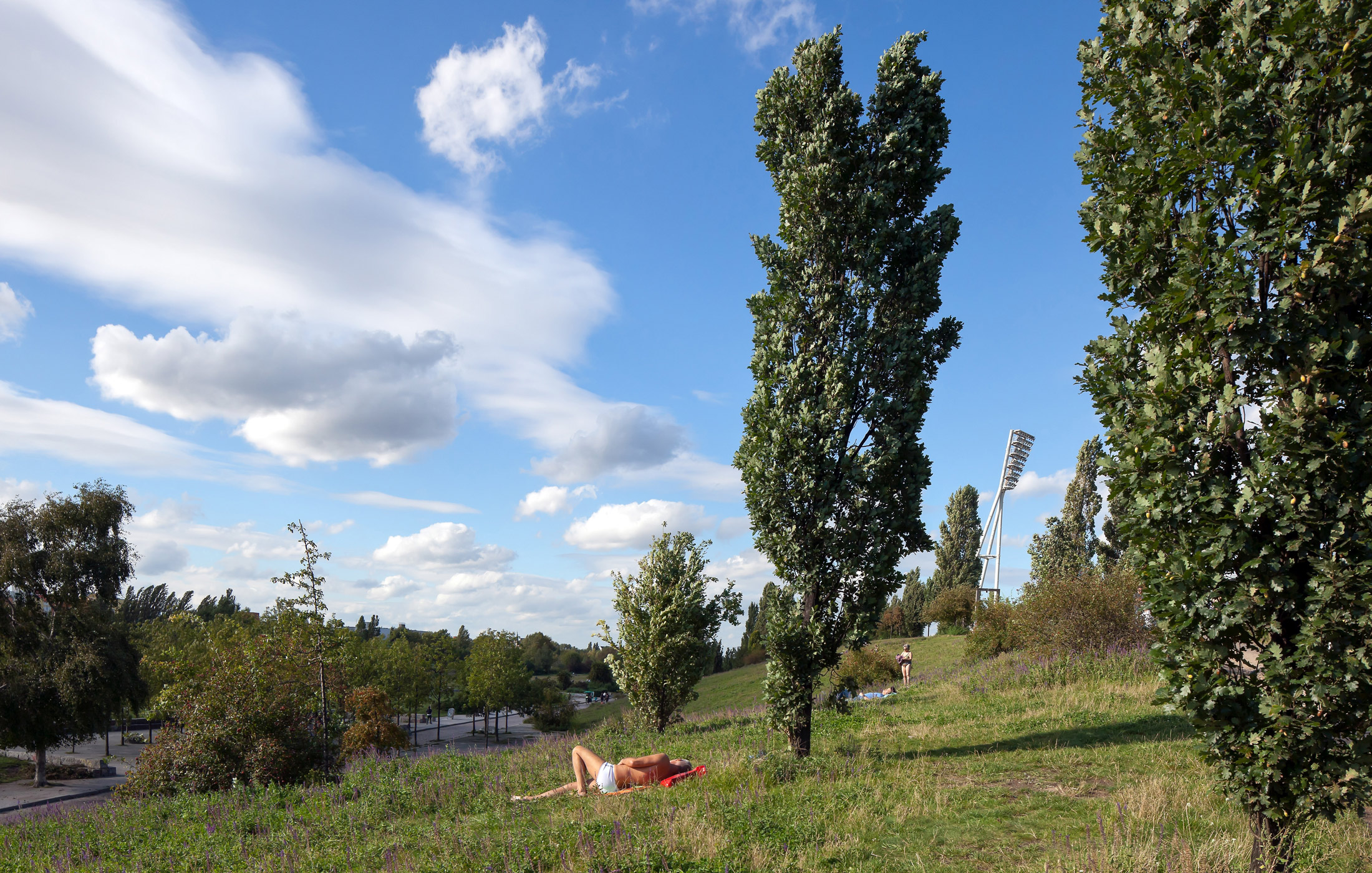 Berlin Voids 16